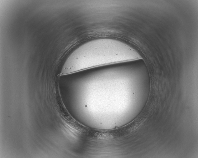 X0000061150258200511181040