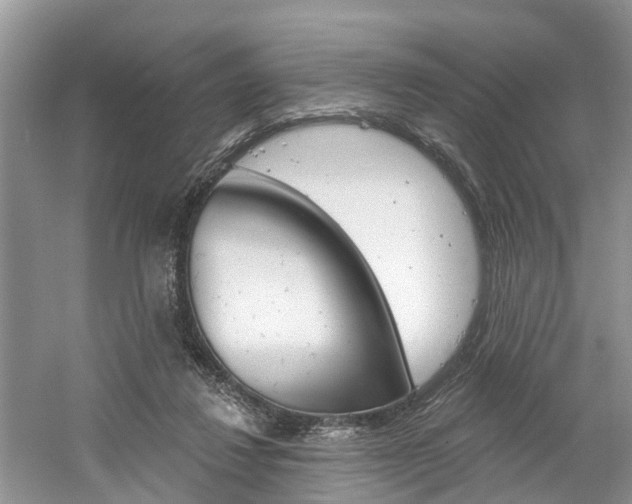 X0000061150260200511181040