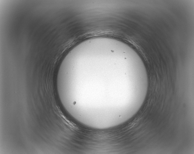 X0000061150261200511181040