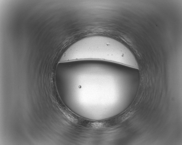 X0000061150265200511181040