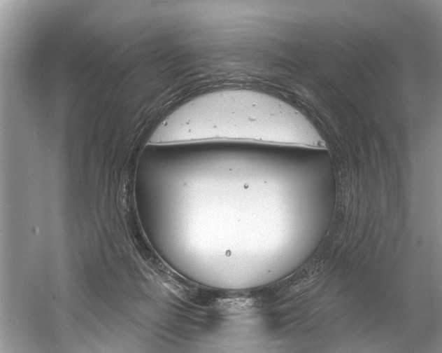 X0000061150266200511181040