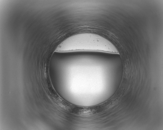 X0000061150267200511181040