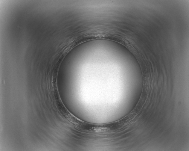 X0000061150268200511181040