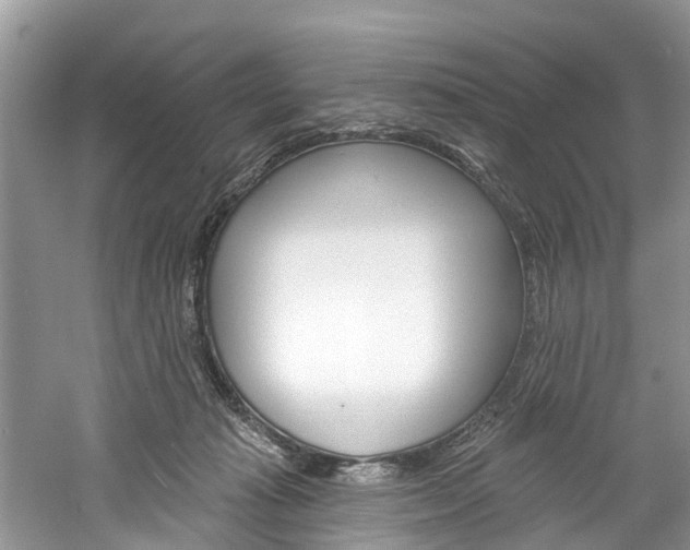 X0000061150269200511181040