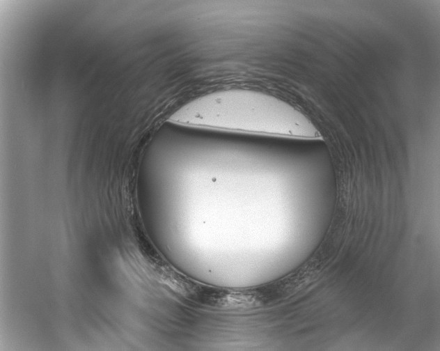 X0000061150270200511181040