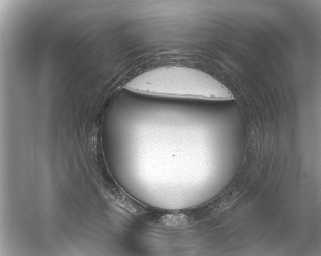 X0000061150271200511181040