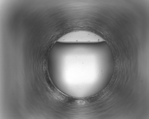 X0000061150272200511181040