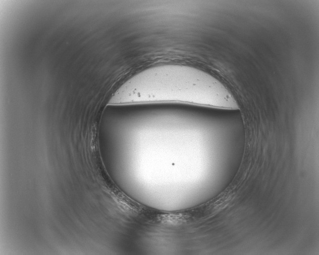 X0000061150273200511181040