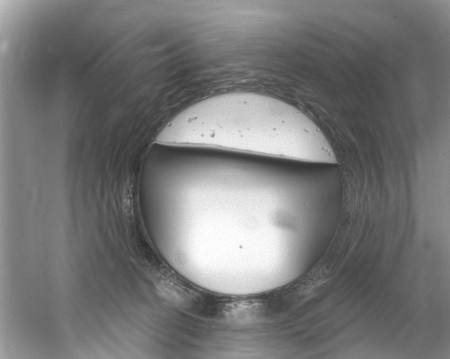 X0000061150274200511181040