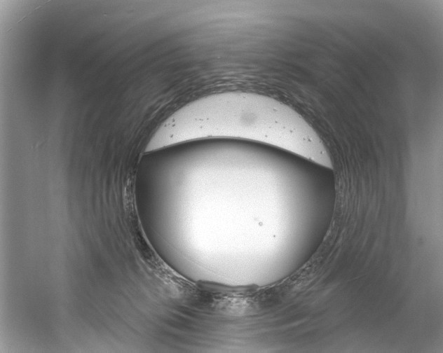 X0000061150276200511181041