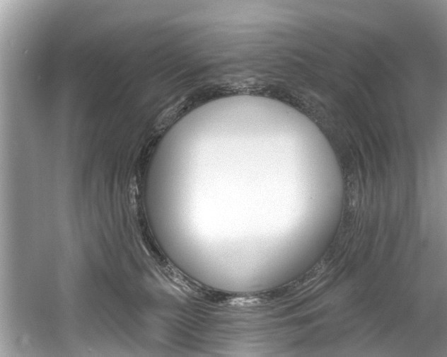 X0000061150279200511181041