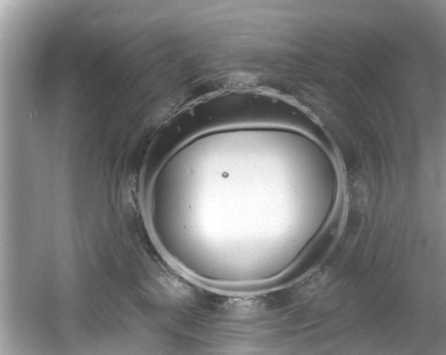 X0000061150280200511181041