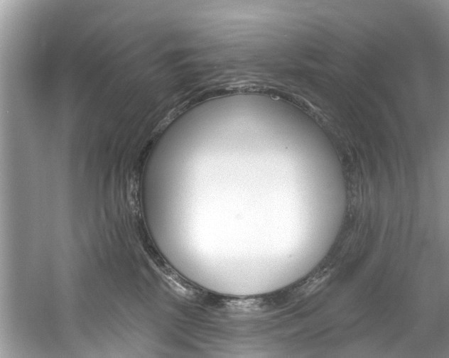 X0000061150281200511181041