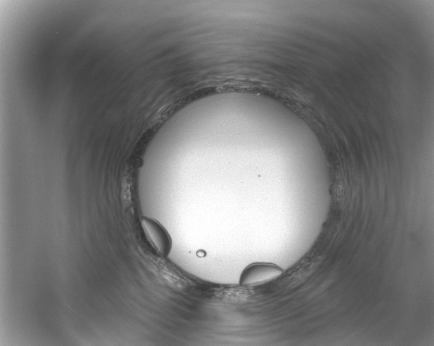 X0000061150282200511181041