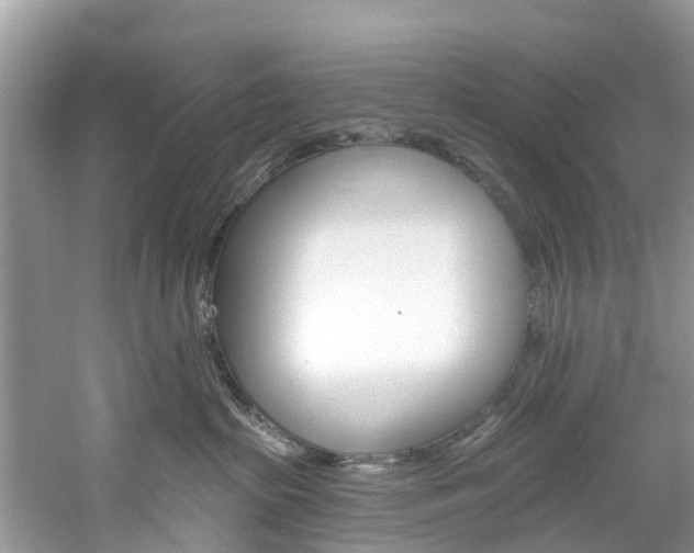 X0000061150285200511181041