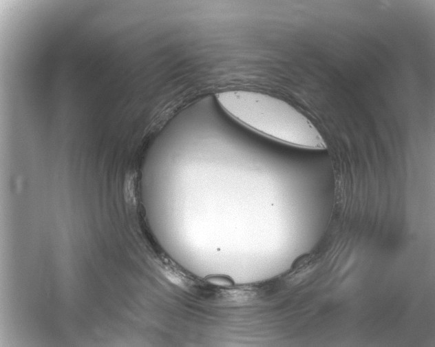 X0000061150286200511181041