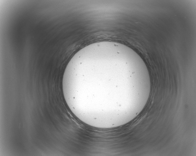 X0000061150288200511181041