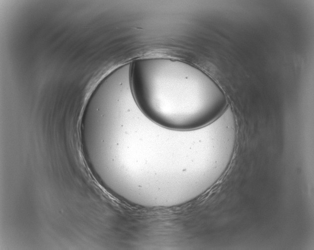 X0000061150289200511181040