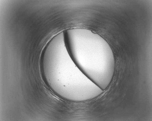 X0000061150290200511181040