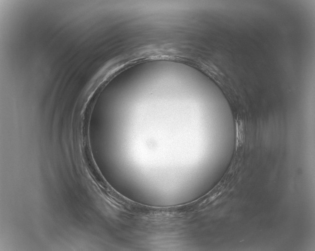 X0000061150291200511181040