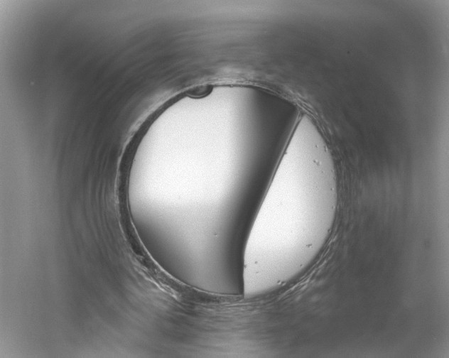 X0000061150292200511181040