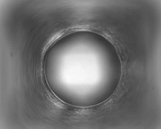 X0000061150293200511181040