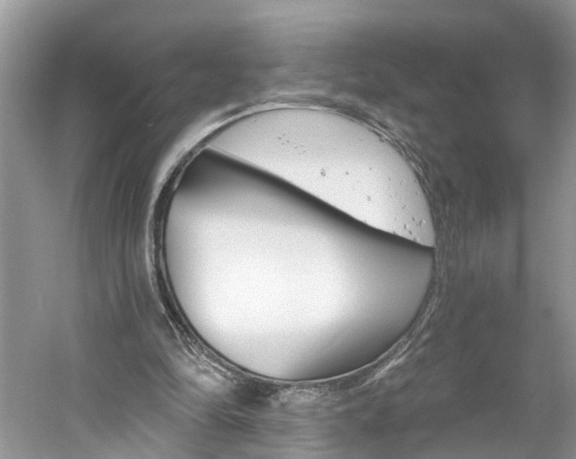 X0000061150294200511181040