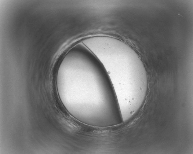 X0000061150295200511181040