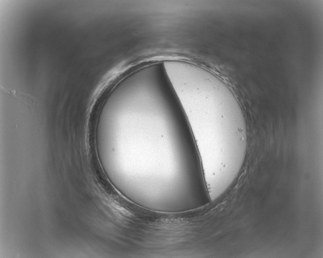 X0000061150296200511181040