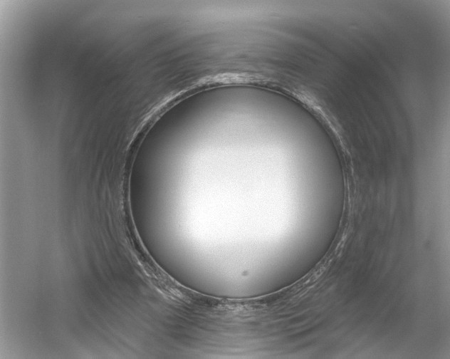 X0000061150297200511181040