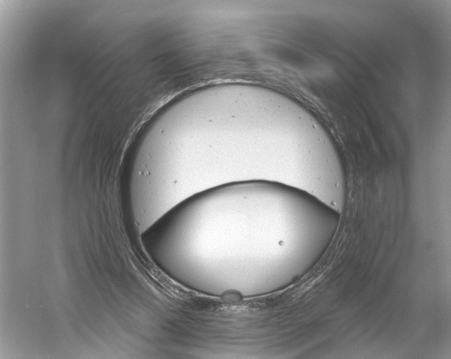 X0000061150298200511181040