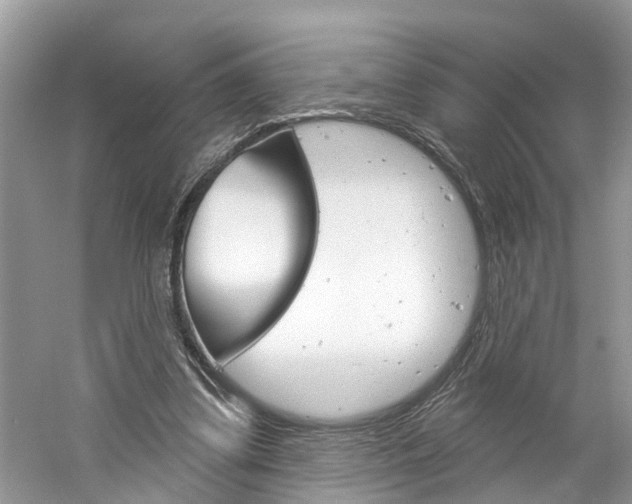 X0000061150299200511181040