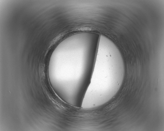 X0000061150300200511181040