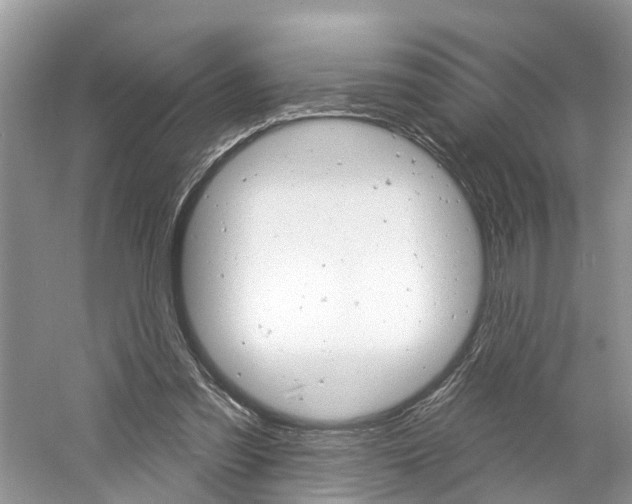 X0000061150301200511181040