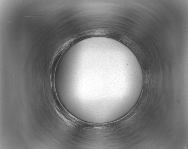 X0000061150302200511181040