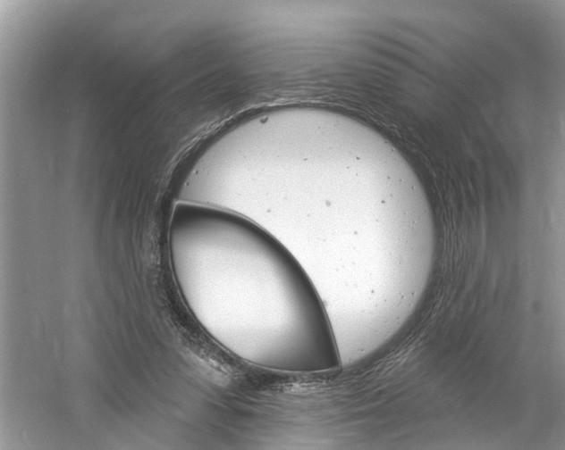 X0000061150303200511181040