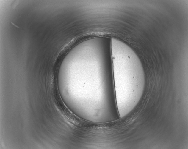 X0000061150304200511181040