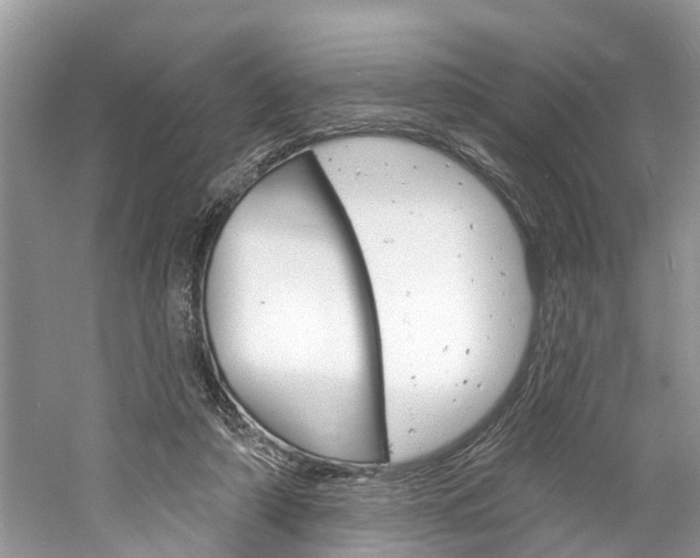 X0000061150306200511181040