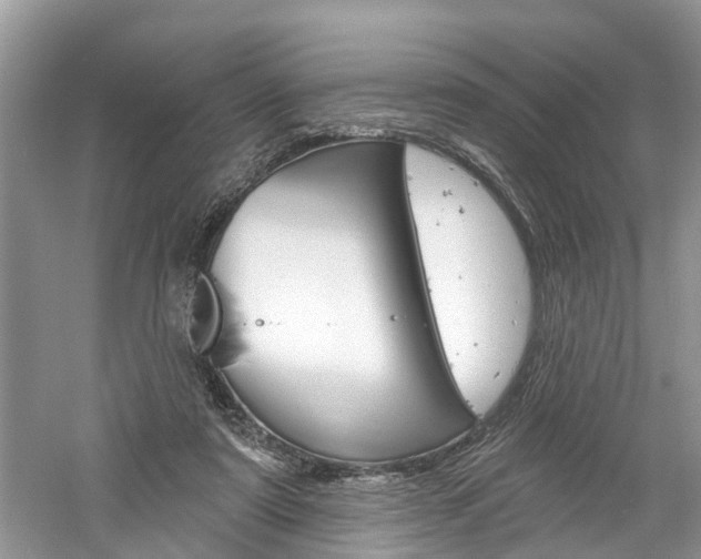 X0000061150307200511181040