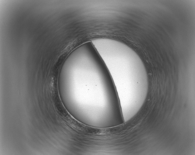 X0000061150308200511181040