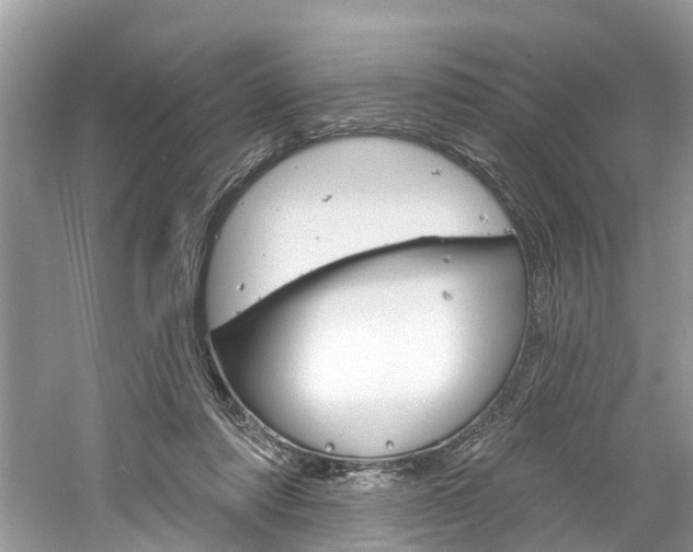 X0000061150310200511181040