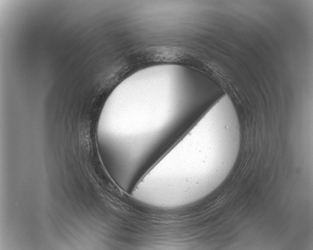 X0000061150312200511181040