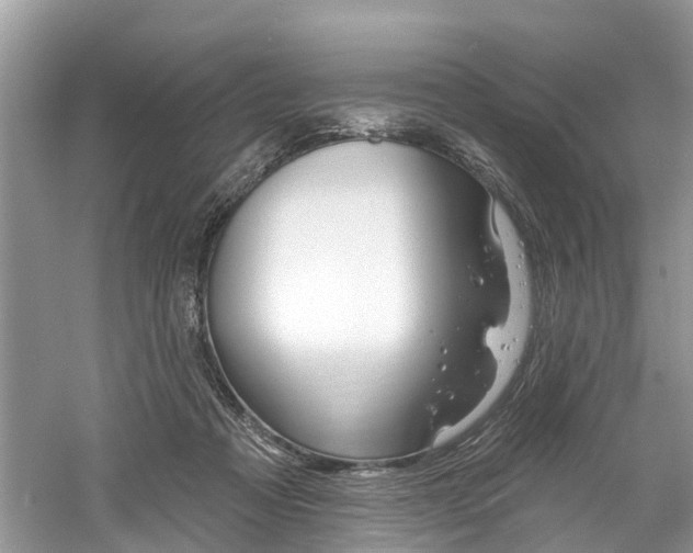 X0000061150313200511181040