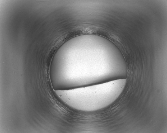 X0000061150314200511181039