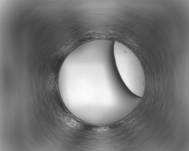 X0000061150318200511181039