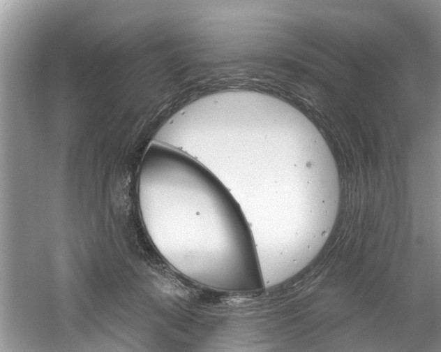 X0000061150319200511181039