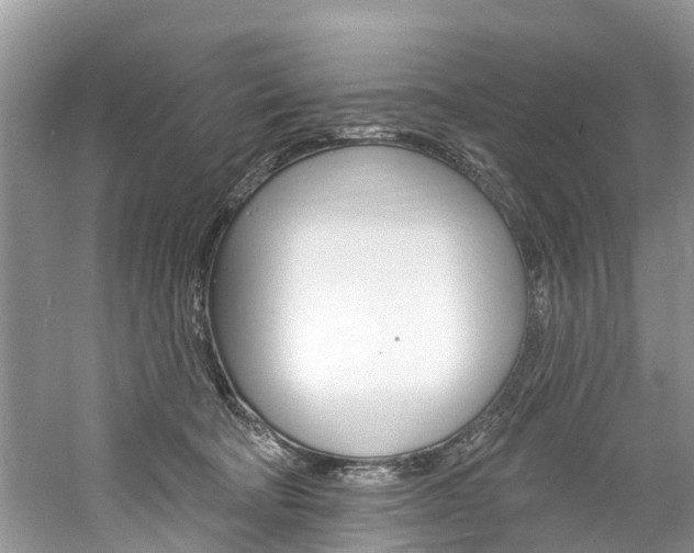 X0000061150322200511181039