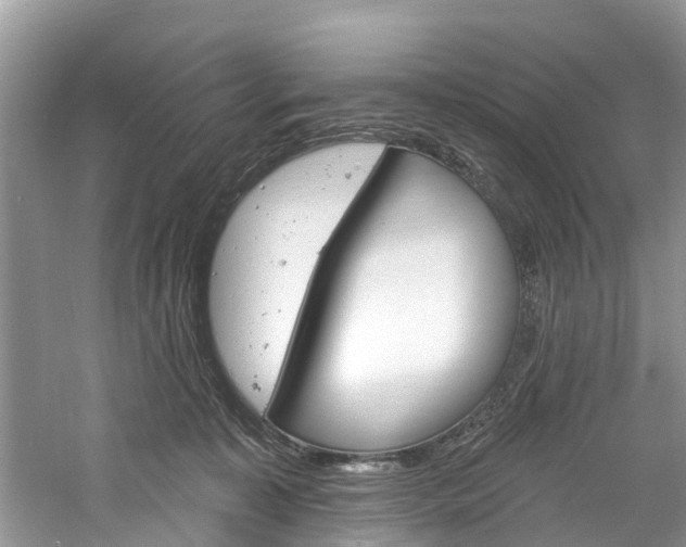 X0000061150323200511181039