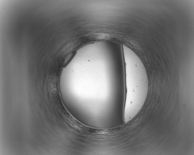 X0000061150325200511181039