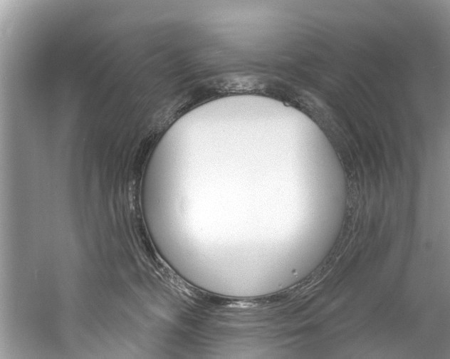 X0000061150326200511181039